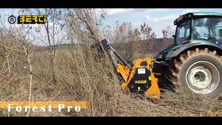 BERTI Trinciatrice Forestale  Forestal Mulcher FOREST PRO [upl. by Bobseine769]