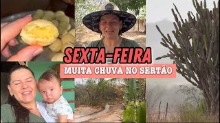 ROTINA DIÁRIA  ORGANIZAÇÃO DO LAR  MUITA CHUVA NO SERTÃO SERGIPANO [upl. by Bridie]