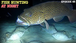 NIGHT SPEARFISHING EPISODE 65  FISH HUNTING AT NIGHT [upl. by Naor]