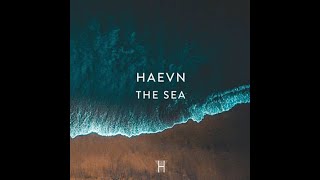 HAEVN  The Sea Lyrics🎵 [upl. by Vigor687]