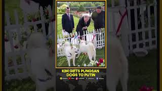 North Koreas Kim gives pair of dogs to Putin  WION Shorts [upl. by Assille]