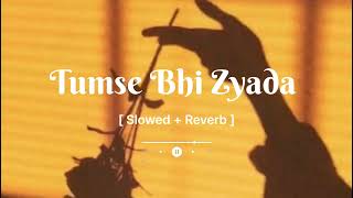 Tumse Bhi Zyada Slowed And Reverb song🥀  Tumse Bhi Zyada💞  Tadap  Sad Song  Bollywood songs [upl. by Leahcam]