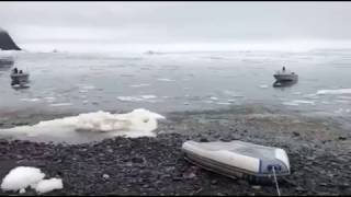 Video Captures Moment When Tsunami Hits Greenlands West Coast [upl. by Pillsbury482]