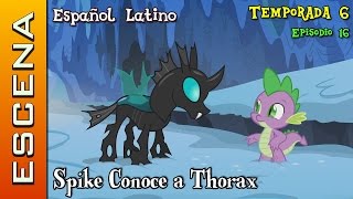 MLP FiM  Escena Temporada 6 Ep 16  Spike Conoce a Thorax Español Latino [upl. by Naujik]