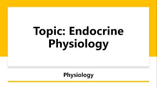 Endocrine System Physiology  AHS [upl. by Ejrog6]