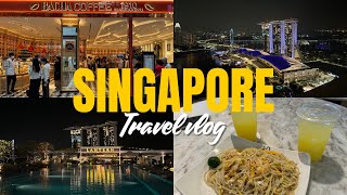 【シンガポールvlog 2】3泊4日で周るシンガポール旅！在住者おすすめスポットから定番観光地を紹介！オーチャードリトルインディアアラブストリートナイトサファリ屋台カフェローカルグルメ [upl. by Kleon]