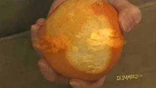 How to Zest Citrus Fruit For Dummies [upl. by Siseneg174]