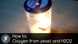 How to make Oxygen from yeast and H2O2 [upl. by Tasha500]