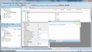 BODS Tutorial 005 File Format in Data Services [upl. by Arracahs]