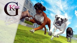 Boxer City Dog Simulator 3D Gameplay Android HD  Virtual Animals World [upl. by Yrellih]