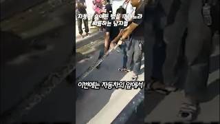 quot집에 좀 가자quot 자동차 숨어든 뱀을 꺼내느라 씨름하는 남자들 [upl. by Russom248]