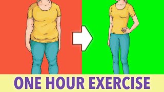 Full Body Fat Burn One Hour Exercise At Home [upl. by Lemar405]