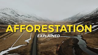 What is Afforestation  Eco Facts  One Tree Planted [upl. by Awjan]