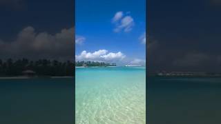 Maldives 20 October 2024 travel shorts maldives viralvideo beach nature sea naturelovers [upl. by Jinny]