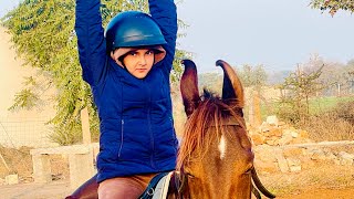 Horse riding canter video dekhe  dekhe horse riding academy ka fully video  horseriding horse [upl. by Sylirama]