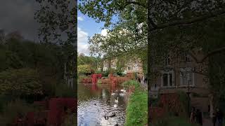 Hampstead No1 Pond 🦢 [upl. by Ruella]