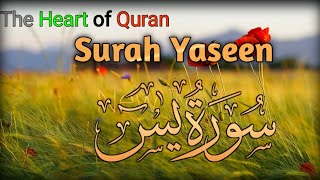 Surah Yasin Yaseen  Surah yasin Full With Arabic text  Surah Yasin beautiful recitation [upl. by Abih308]