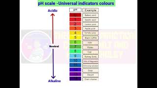 pH scale  pH indicators  pH scale kya hai  pH scale kise kehte hain  pH scale diagram [upl. by Olivero92]