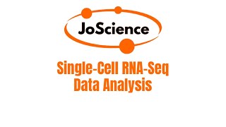 SingleCell RNASeq Data Analysis Part 1 Theory [upl. by Ursal250]