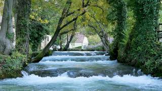 Sound of River Flowing in Village Relaxing Nature Sounds Flowing Water White Noise for Sleeping [upl. by Sam395]