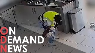 SHOCKING Footage Shows Moment Dog STOLEN By Burglar [upl. by Eilema]