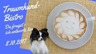 TraumhundBistro vom 8102017 [upl. by Flinn925]