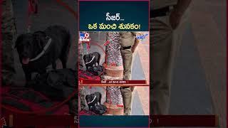 iSmart News  సీజర్ ఒక మంచి శునకం  Police Dog  TV9 [upl. by Angelique27]