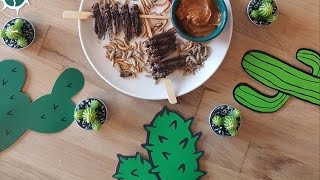 La recette des brochettes de criquets Teriyaki en 50 secondes [upl. by Hector]