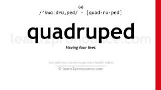 Pronunciation of Quadruped  Definition of Quadruped [upl. by Alysoun288]