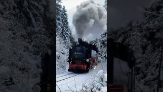 AllAboardScenictrainridesTrainWinterscenery [upl. by Lalo]