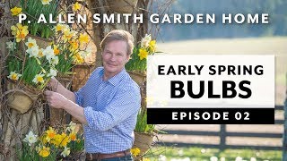 Early Spring Bulbs  FAQ Garden Home VLOG 2019 [upl. by Elehcin105]