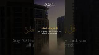 Calmness Recitation of Quran [upl. by Eehtomit]