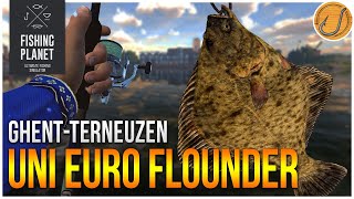 Unique European Flounder of GhentTerneuzen Canal  Fishing Planet Test Your Spot Series [upl. by Ahcsrop468]