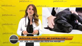 Köpeğim ishal oldu ne yapmalıyım [upl. by Ralat]