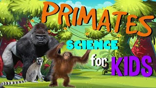 What are Primates  Science for Kids [upl. by Ataymik]