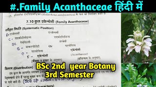 Family Acanthaceae in hindi  BSc 2nd year Botany 3rd Semester [upl. by Aimar841]