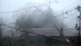 Strong Winds of Super Typhoon Yolanda at Tacloban City [upl. by Iel]