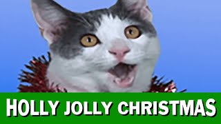 JINGLE CATS quotHolly Jolly Christmasquot [upl. by Riha]