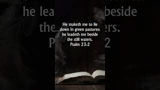 Psalm 232 KJV Audio Bible  He makes me lie down in green pastures [upl. by Remlap323]