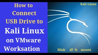 How to connect USB Drive to Kali Linux on VMware Workstation  Mount USB drive in Linux [upl. by Akinak]