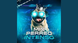 Mix Perreo Intenso [upl. by Nuahsal140]