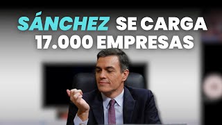 En España se han cerrado más de 17000 empresas con Sánchez [upl. by Aizirtap]