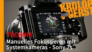 Manuell fokussieren mit spiegellosen Kameras  Sony Alpha 7s 📷 TECHNIK 📷 KrolopampGerst [upl. by Emmalynne]