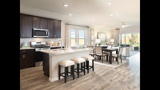 The Oleander plan by Meritage Homes [upl. by Navek]