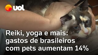 Brasileiros gastaram R 68 milhões com pets em 2023 serviços vão de banhos a terapias especiais [upl. by Barbuto748]