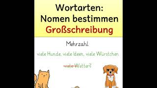 Nomen erkennen  Mehrzahl Substantive  Großschreibung  Grundschule [upl. by Grochow]