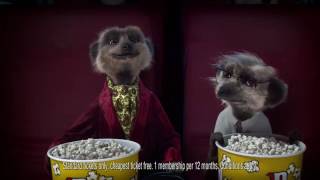 Compare the Meerkat  Advert 71 [upl. by Alicirp]