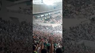 bursaspor timsaharena stadium yeşil beyaz [upl. by Marris]