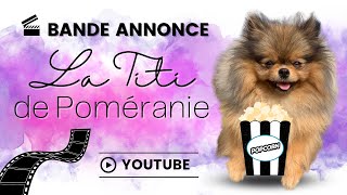 🐶 BANDE ANNONCE  LA TITI DE POMÉRANIE 🐾  ✦ 100 POMERANIAN [upl. by Nadnal770]