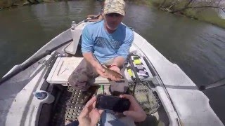 Tuckasegee River Drift Boat Fly Fishing Brown Trout [upl. by Brantley484]